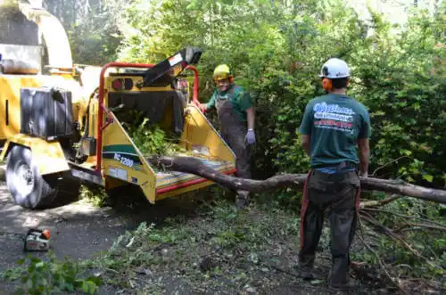 tree services Togiak